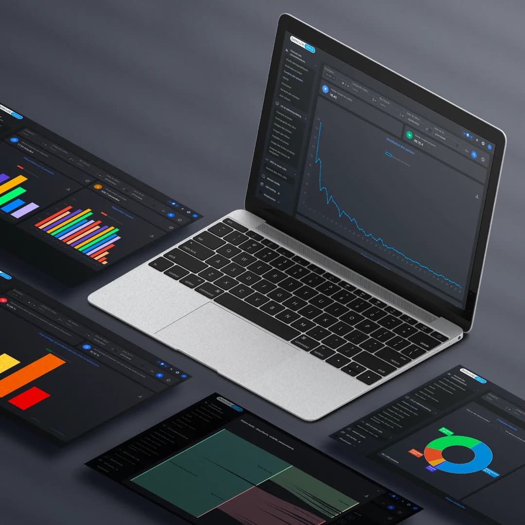 Data Visualization Interface